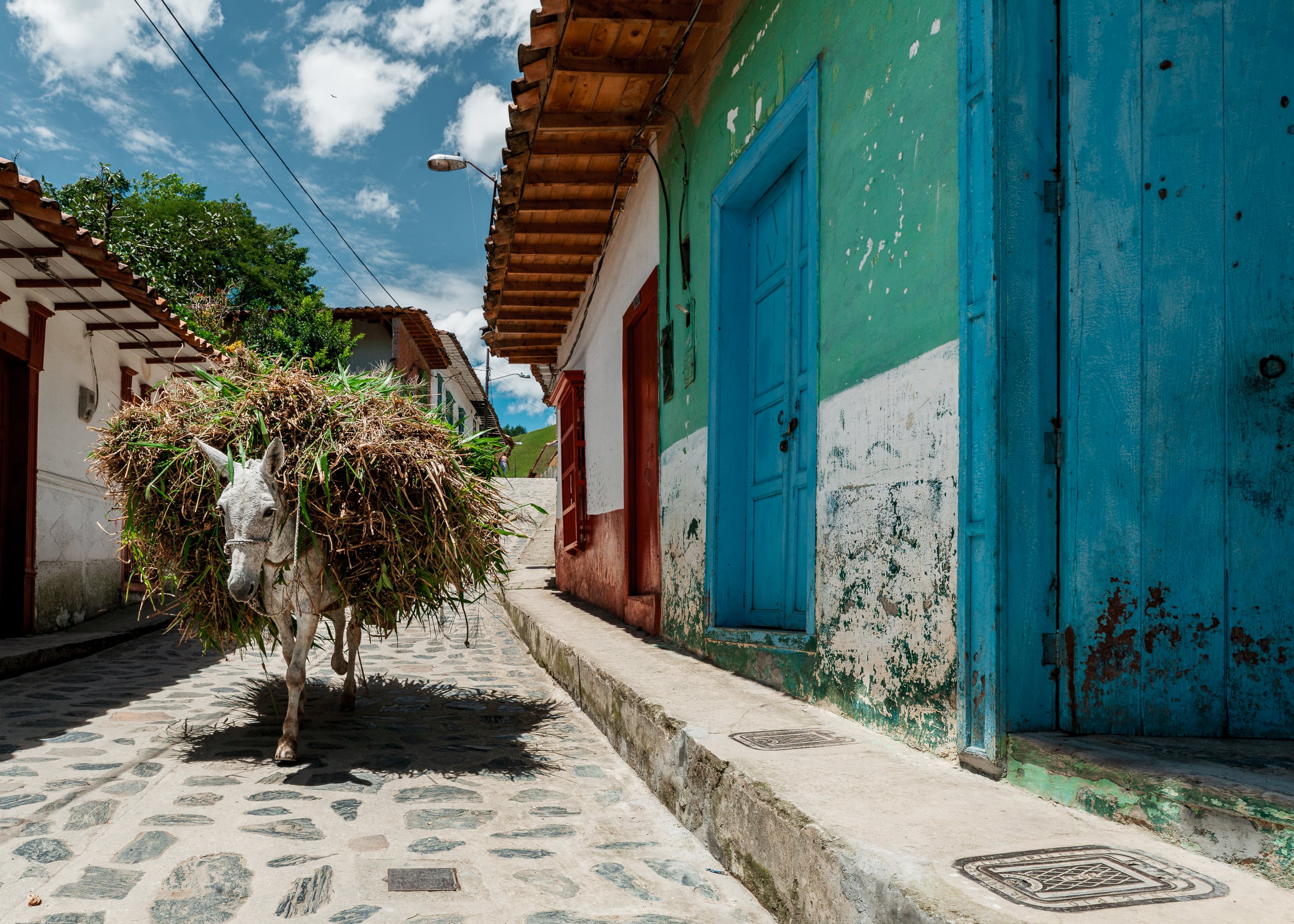Retrato Antioquia photograph 4
